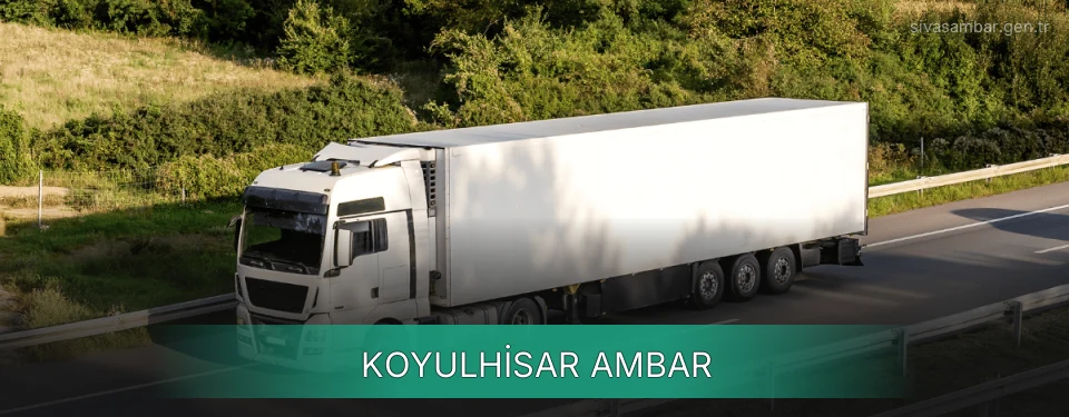 Koyulhisar Ambar